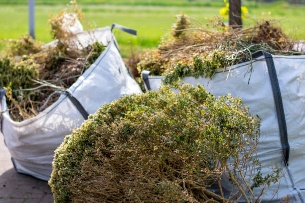 Best Junk Removal Near Me  in Charlestown, MD